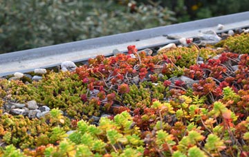 the cost of Goostrey green roof installation
