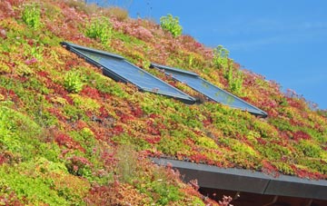 Goostrey living roof systems